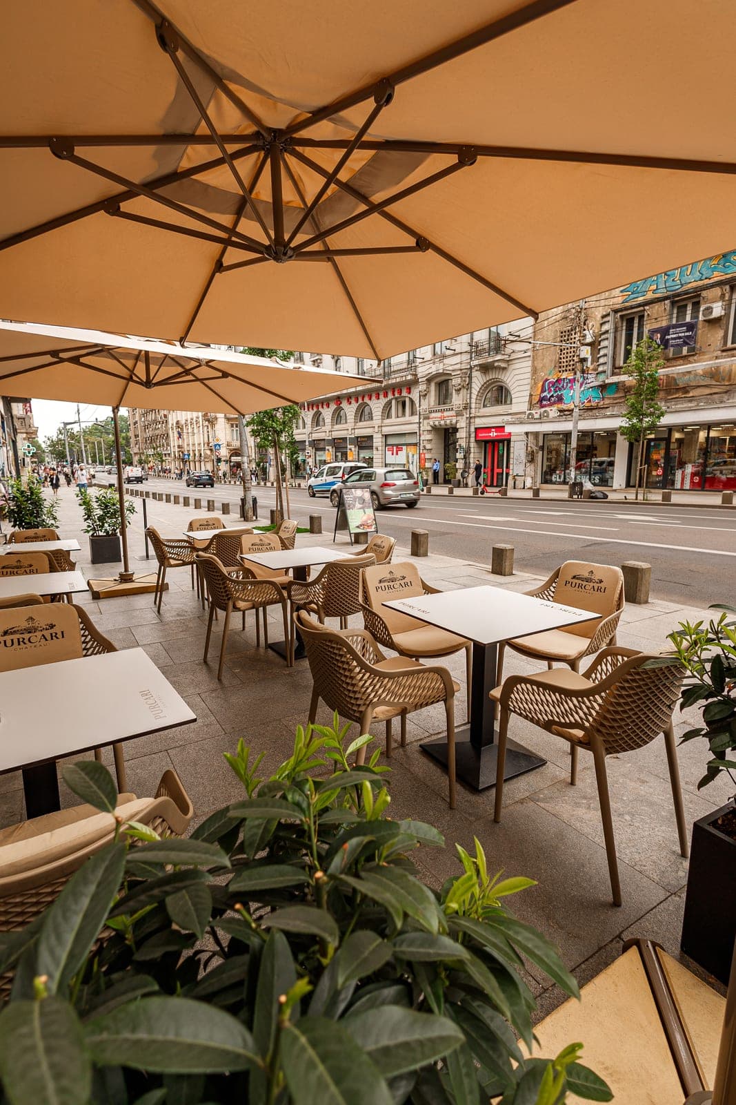 Terrace: Tables under umbrellas, right on Regina Elisabeta.
